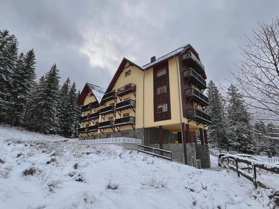 Lola 5 Apartament